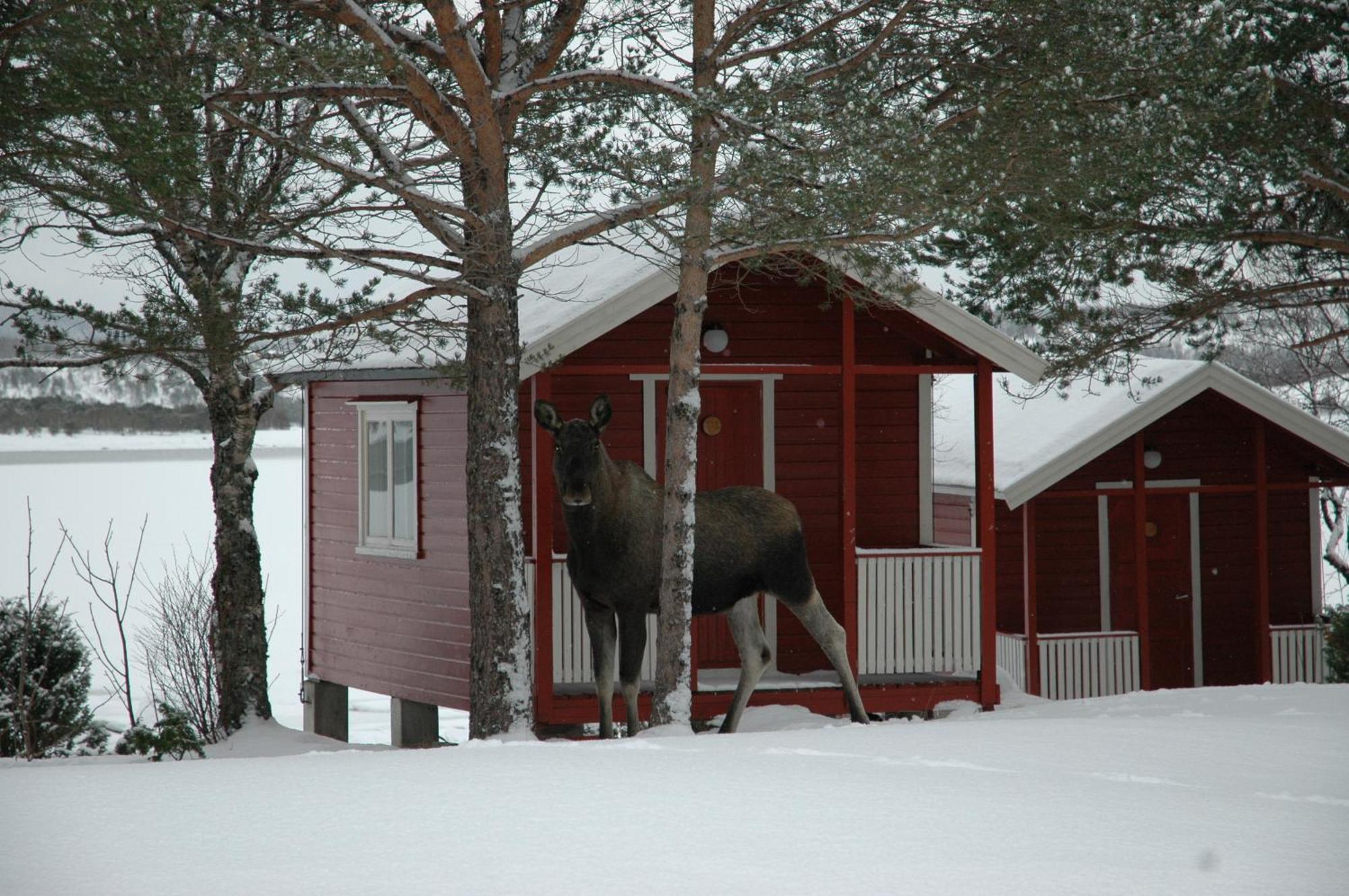 Tysfjord Hotel Storjord I Tysfjord 외부 사진